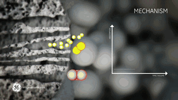 1593423961605879.gif 微信圖片_20200629174544.gif